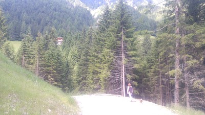 Photos of App. Cesa Vedla