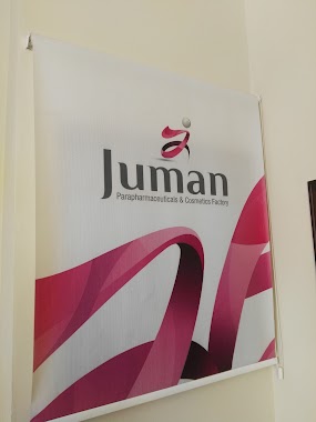 Juman para pharmaceutical factory, Author: Michael Batmani