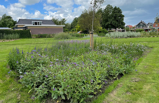 Vlindertuin Park de Meet