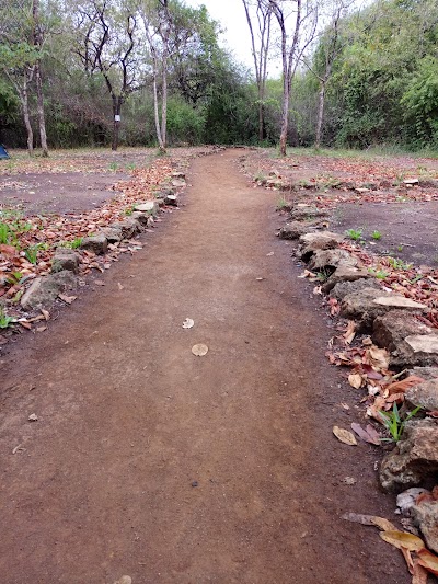Photos of Camp Malta