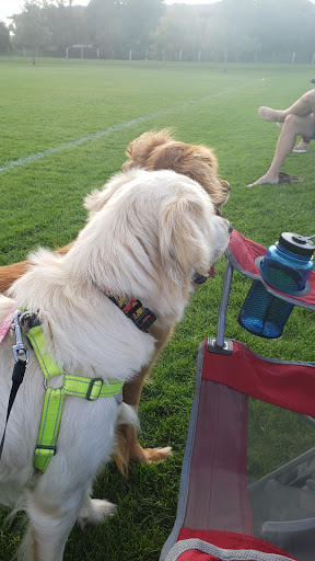 Southpointe Fields - Visual