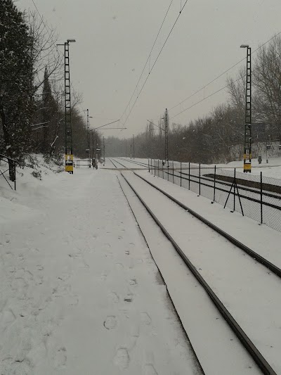 Photos of T&oacute;v&aacute;roskert