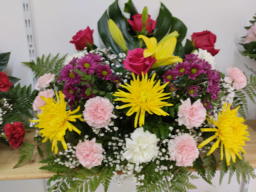 Flores y plantas Karolina - Thumbnail