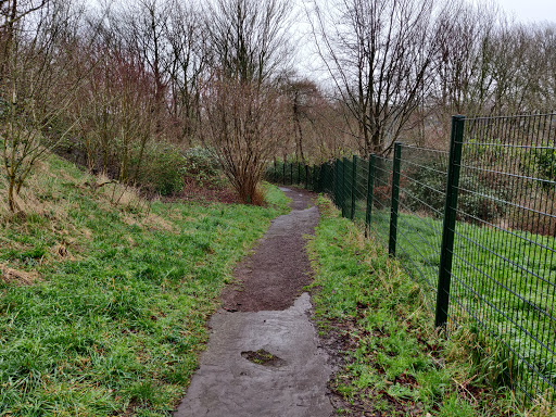 Noorderhout Gouda - Thumbnail