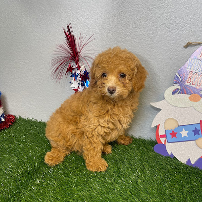 Puppy Dreams - Garland