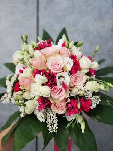 DEG nonsolofiori