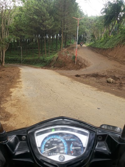 Photos of Perhutani Precet Lereng Gunung Kawi
