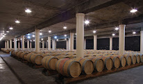Romain Maison à Saint-Sulpice-et-Cameyrac