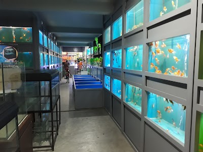 Photos of Nature Of Life Aquriums