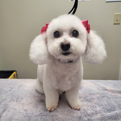 Stevie's Room Grooming