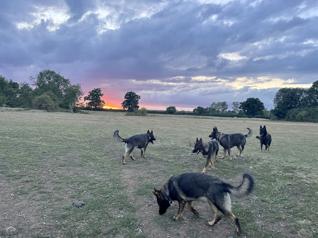 Rookery Lodge Complete Canine Care - Bedford