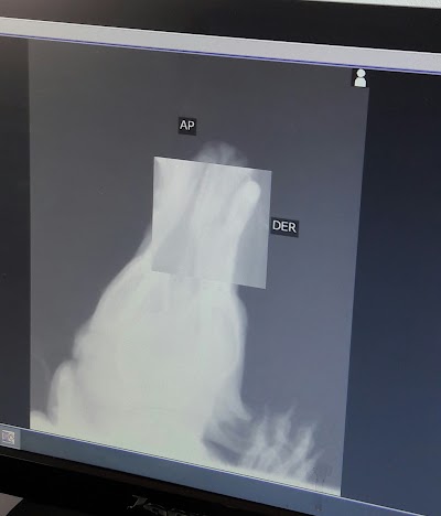Photos of PIEDRAHITA DR. VETERINARY CLINIC