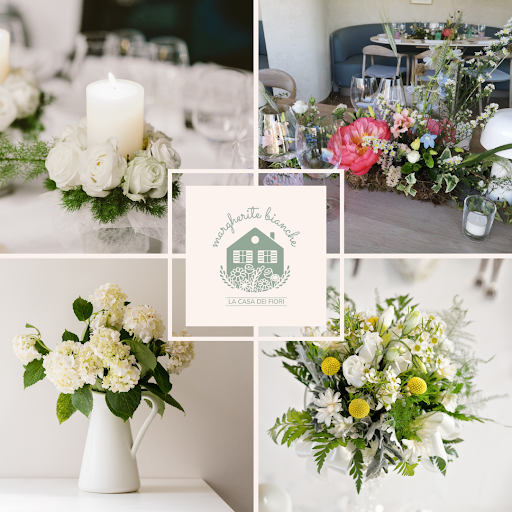 Margherite Bianche | La casa dei fiori - Thumbnail
