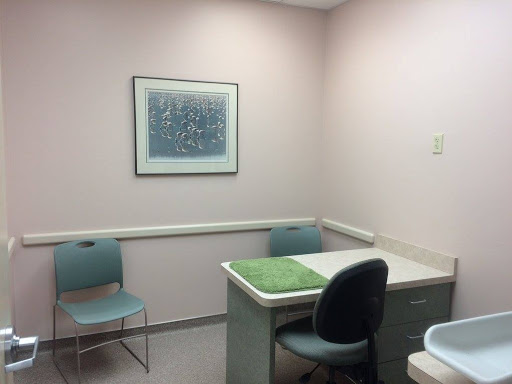 Eastside Dog & Cat Hospital - Thumbnail
