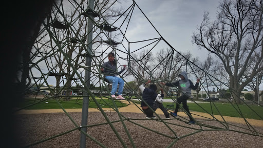 Milverton Park Playground Gallery - New Zealand