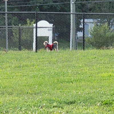 Danbury Dog Park