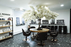 Photo n°2 de Raphaël Perrier Paris à Paris (Salon de coiffure)