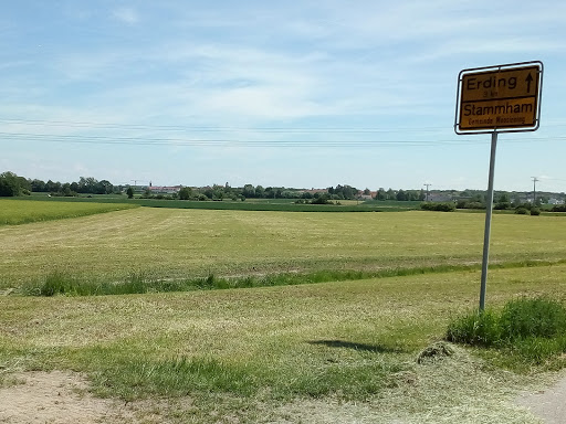 Stammham - Visual