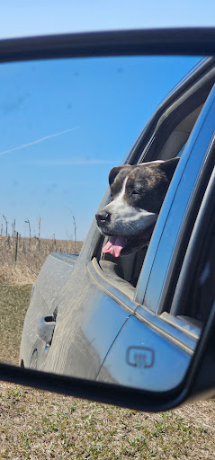 Hubers Waterfowl Production Area Gallery - United States