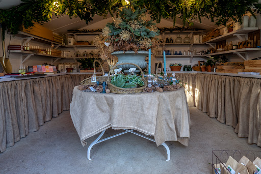 Exedra Nursery - Thumbnail