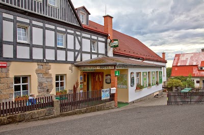 Photos of Hotel Green Tree