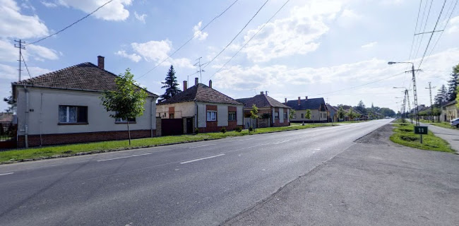 Vörös-Szekfű Cukrászda és Étterem - Fagylaltozó