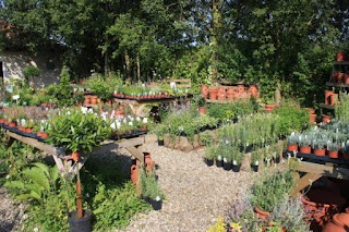 Norfolk Herbs