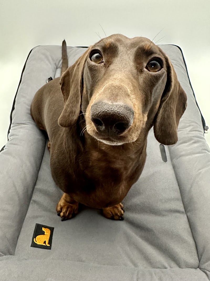 Bark Products Ltd photo 3