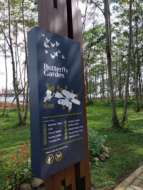 Butterfly garden RSP, Author: Leonie Irina Mutiara