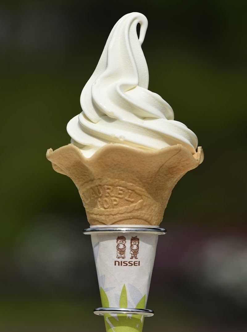 函館 市民の森売店 WOODS