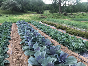 Photo n°5 de Au Coin du Parc à Poisy (Magasin bio)