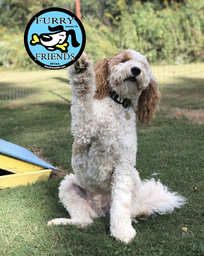 Furry Friends Grooming-Boarding-Training