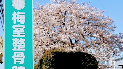 梅室整骨院