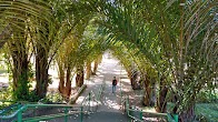 Parque Lions Clube Tucuruvi