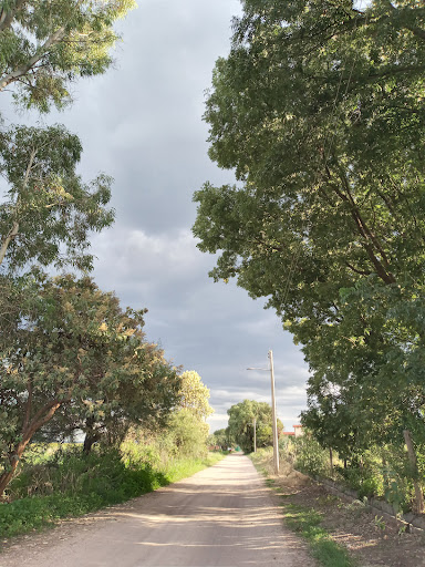 Los Cruces - Thumbnail