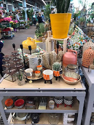 Photo n°28 de Truffaut à Saint-Denis (Animalerie)