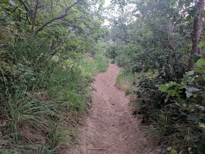 Squaw Peak Overlook