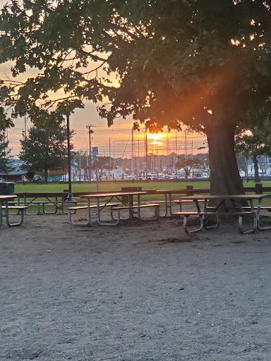Shady Beach Park - Thumbnail