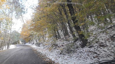 Photos of OSCO North Resort