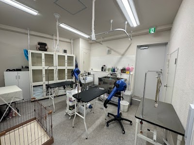 ハッピーベル成増店