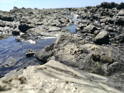 Photos of Cabuya Island