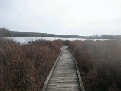 Photos of Black Moshannon State Park