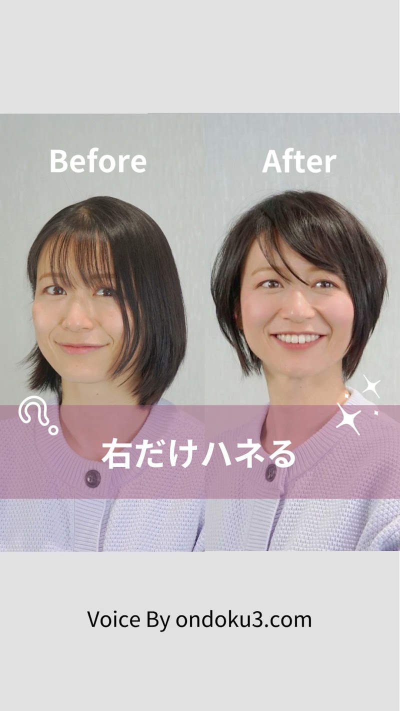 HAIR STUDIO IWASAKI 熊本本野店