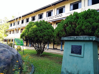 Photos of Rivisanda Central College