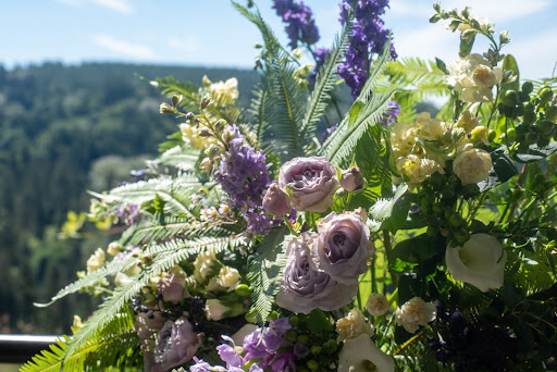 Barzen's Blooms Gallery - United States