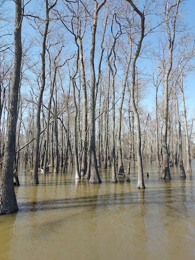 Natural Resources-Horseshoe Lk