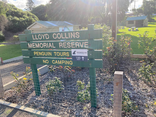 Lloyd Collins Reserve - Thumbnail