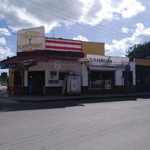 Flamboyan - Visual