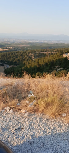 Απόλλωνα, Δήλεσι 320 11