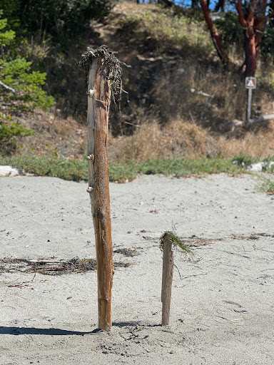 Tree Sculpture - Visual